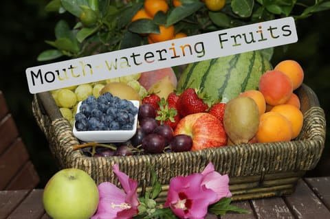 Fruits