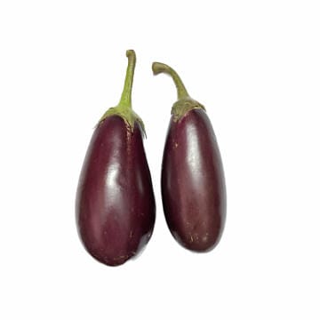Brinjal Goria