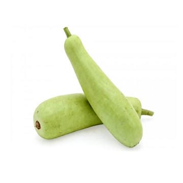 Bottle Gourd