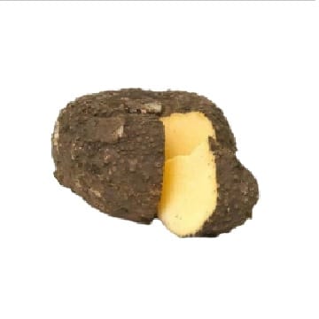 Arum / Yam / Elephant Foot