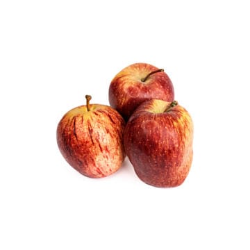Apple - Shimla