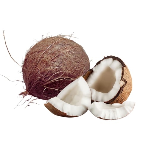 Coconut